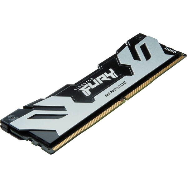 Memorie Kingston FURY Renegade Silver 16GB DDR5 6400MHz CL32