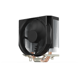 Spartan 5