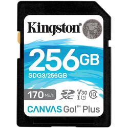 Kingston SDXC Canvas GO Plus Clasa 10 UHS-I 256GB