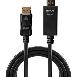 Cablu video Lindy DisplayPort la HDMI 10.2G 2m