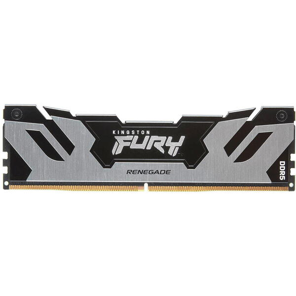 Memorie Kingston FURY Renegade Silver 48GB DDR5 6000MHz CL32